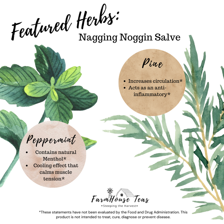 Nagging Noggin Salve