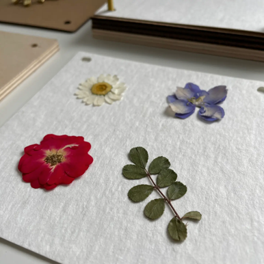 Mini Flower Press