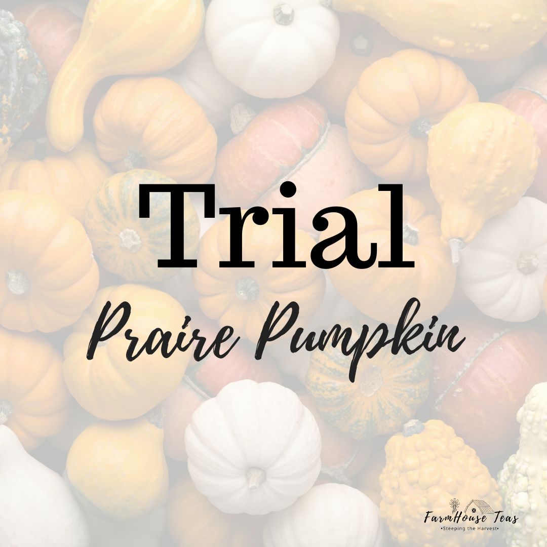 Prairie Pumpkin Chai – Loose Leaf Black Tea