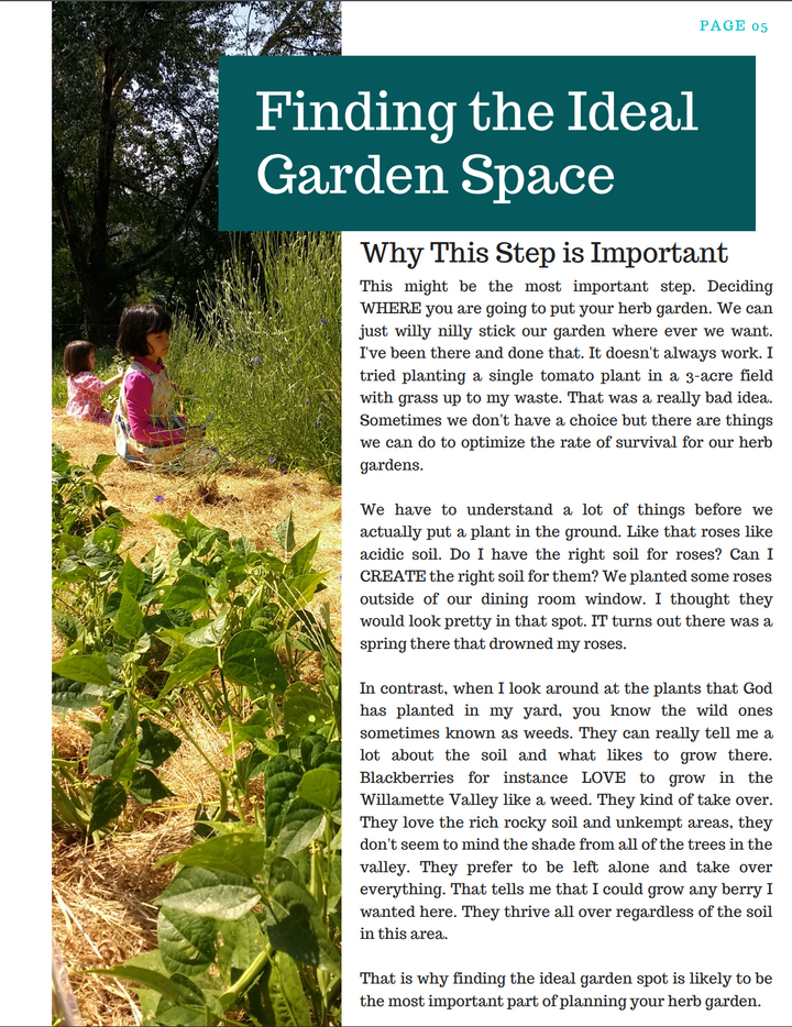 Planning & Planting the Herb Garden E-book - Farmhouse Teas