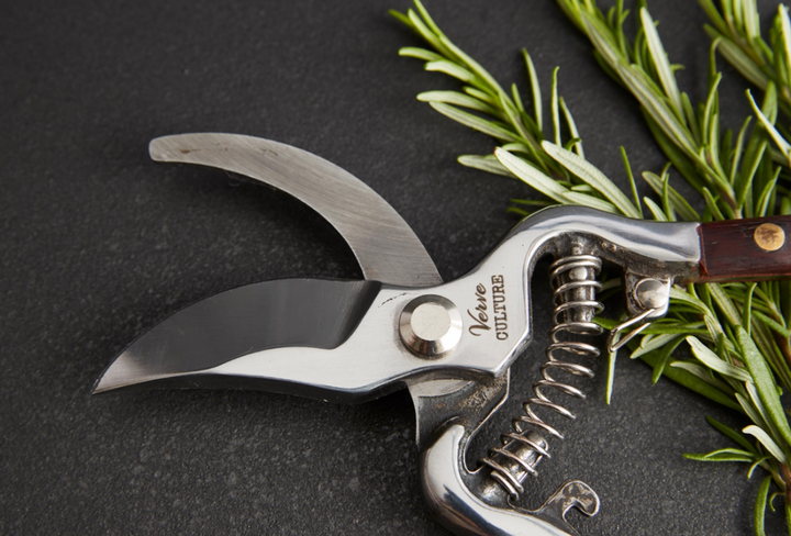 Thai Kitchen Garden Shears - Farmhouse Teas