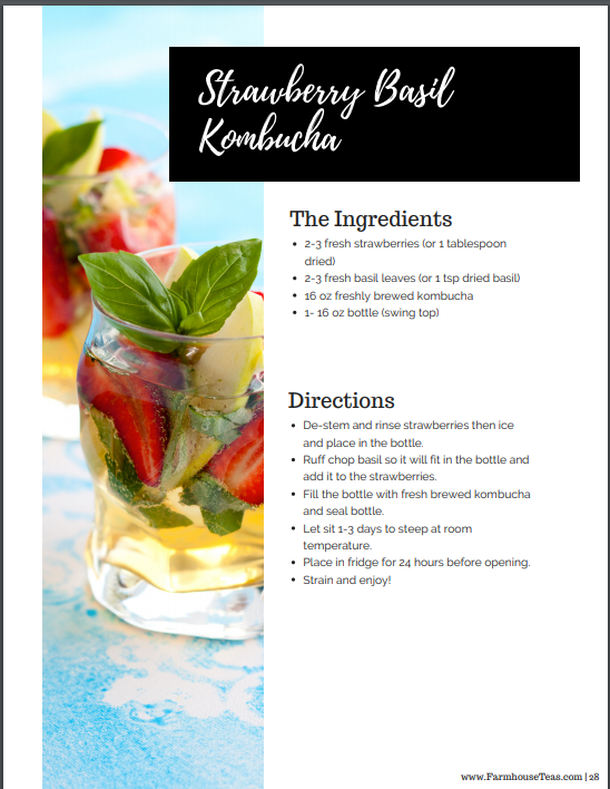 Kombucha | Recipes for Home Brewing E-book - Farmhouse Teas