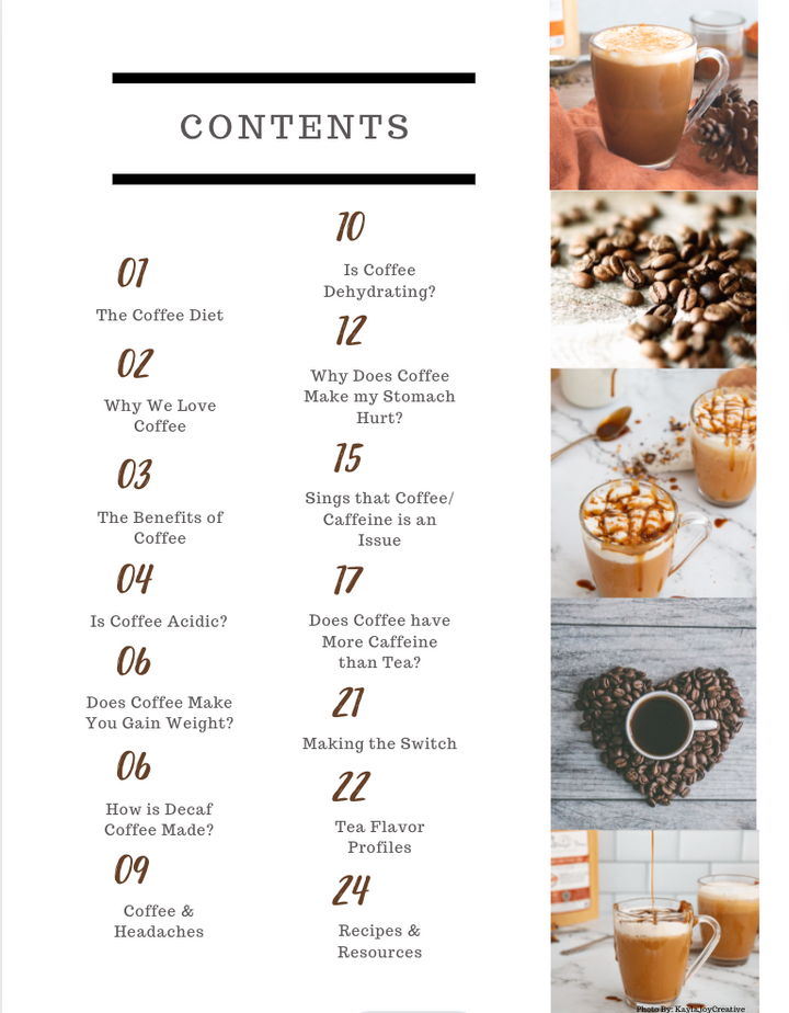 Coffee Drinker's Guide to Loose Leaf Tea E-Book - Farmhouse Teas