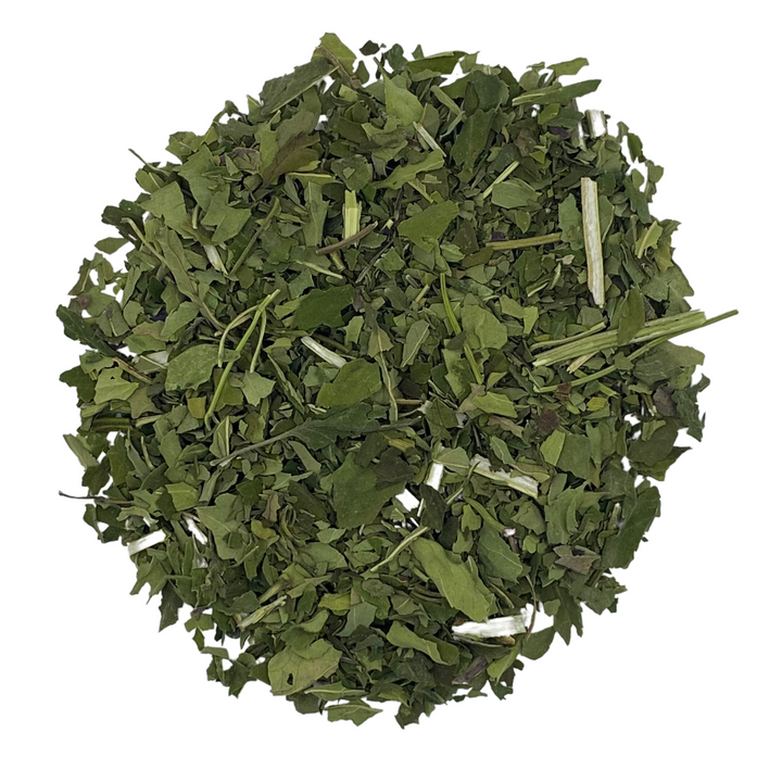 Wild Bergamot / Bee Balm (Monarda fistulosa)