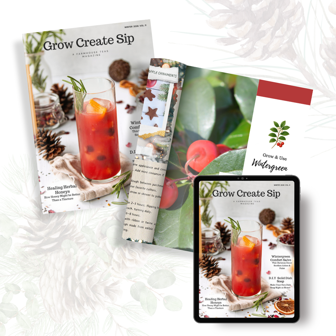 Grow Create Sip Magazine – Winter 2026 Issue