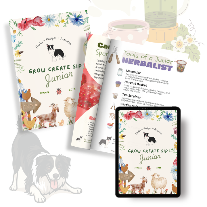 Grow Create Sip Junior Herbalist Magazine Volume 2 | Summer 2026