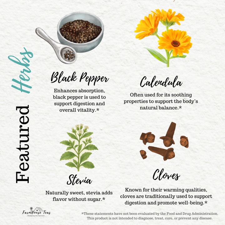 Golden Turmeric Spice Organic Herbal Tea