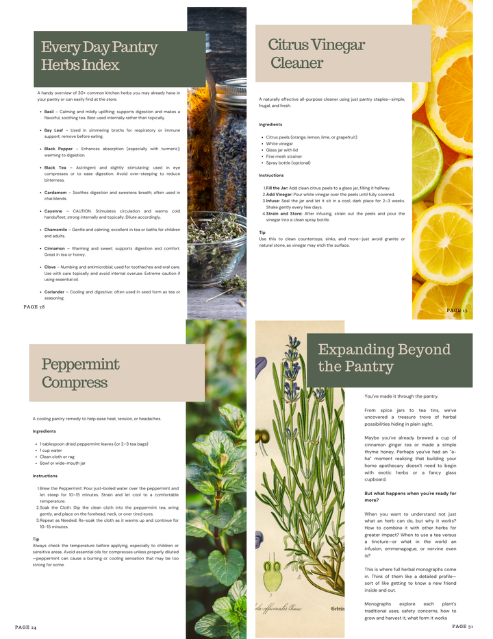 Homestead Pantry Herbs E-Book – Simple Herbal Recipes & Everyday Uses