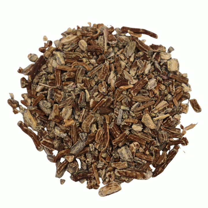 Echinacea Angustifolia Root