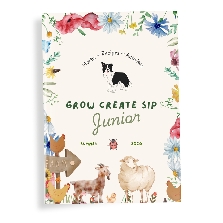 Grow Create Sip Junior Herbalist Magazine Volume 2 | Summer 2026