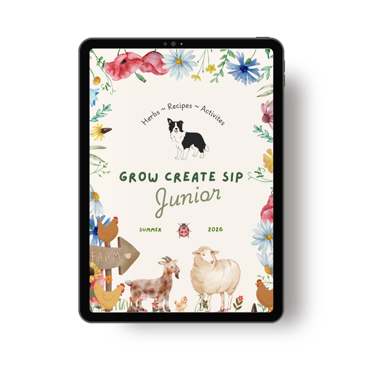 Grow Create Sip Junior Herbalist Magazine Volume 2 | Summer 2026