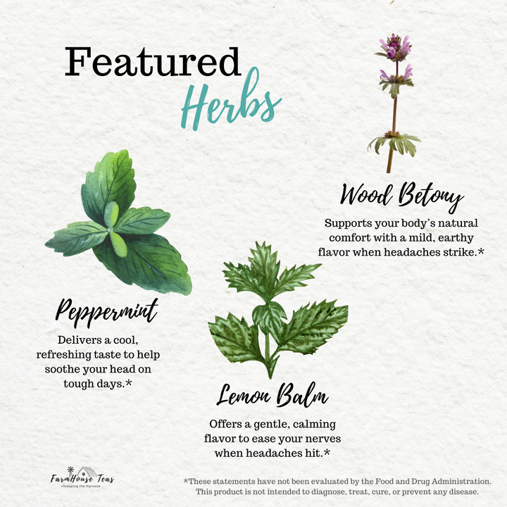 Nagging Noggin Organic Loose Leaf Tea