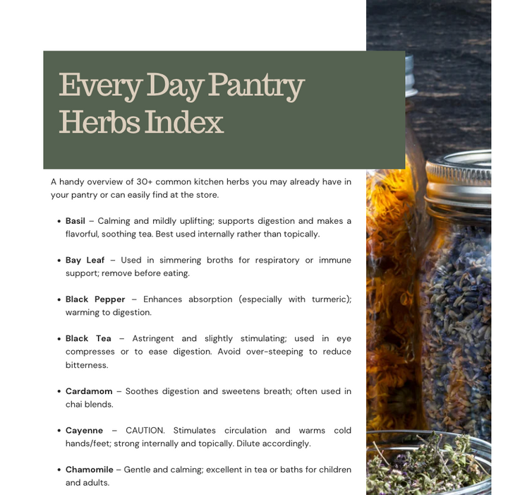 Homestead Pantry Herbs E-Book – Simple Herbal Recipes & Everyday Uses
