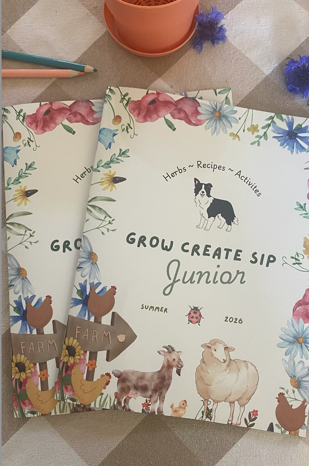 Grow Create Sip Junior Herbalist Magazine Volume 2 | Summer 2026