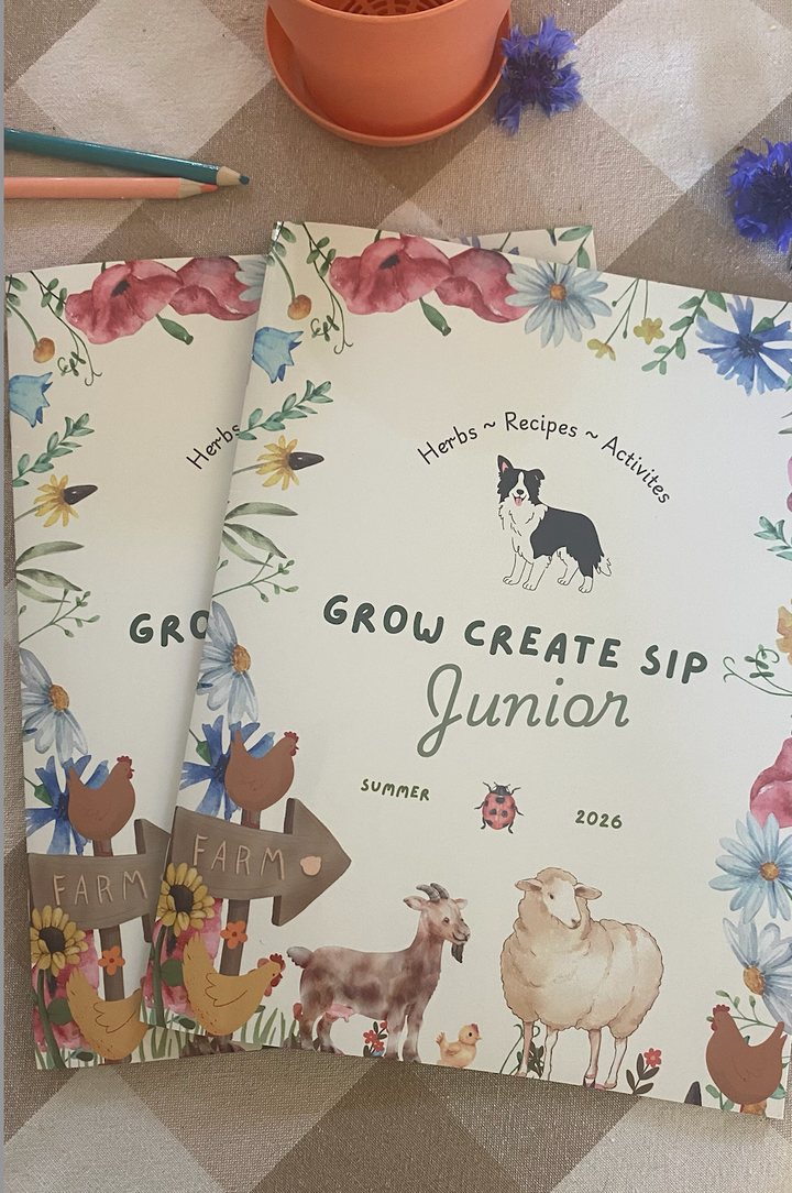 Grow Create Sip Junior Herbalist Magazine Volume 2 | Summer 2026