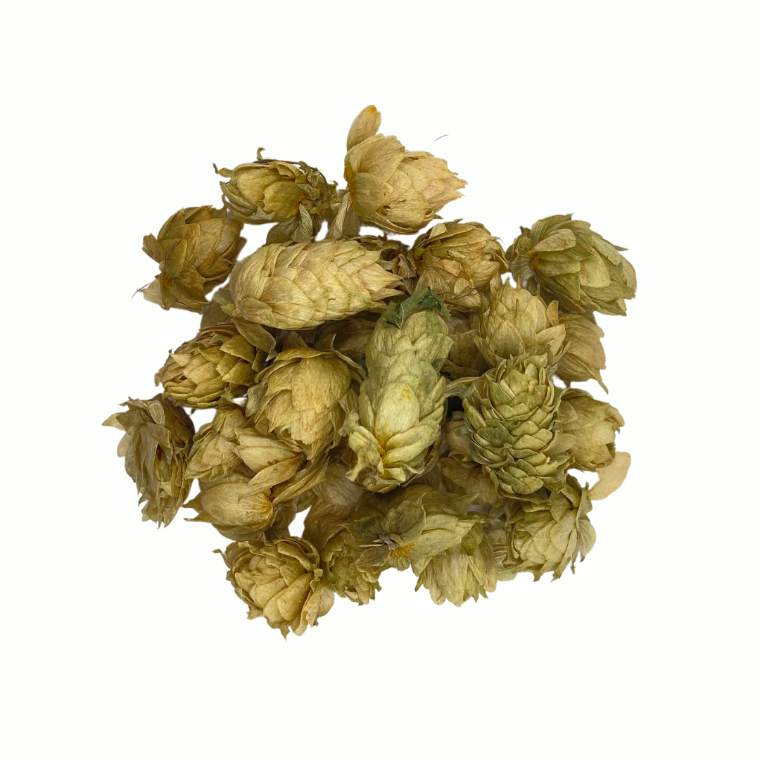 Hop Flowers, Organic