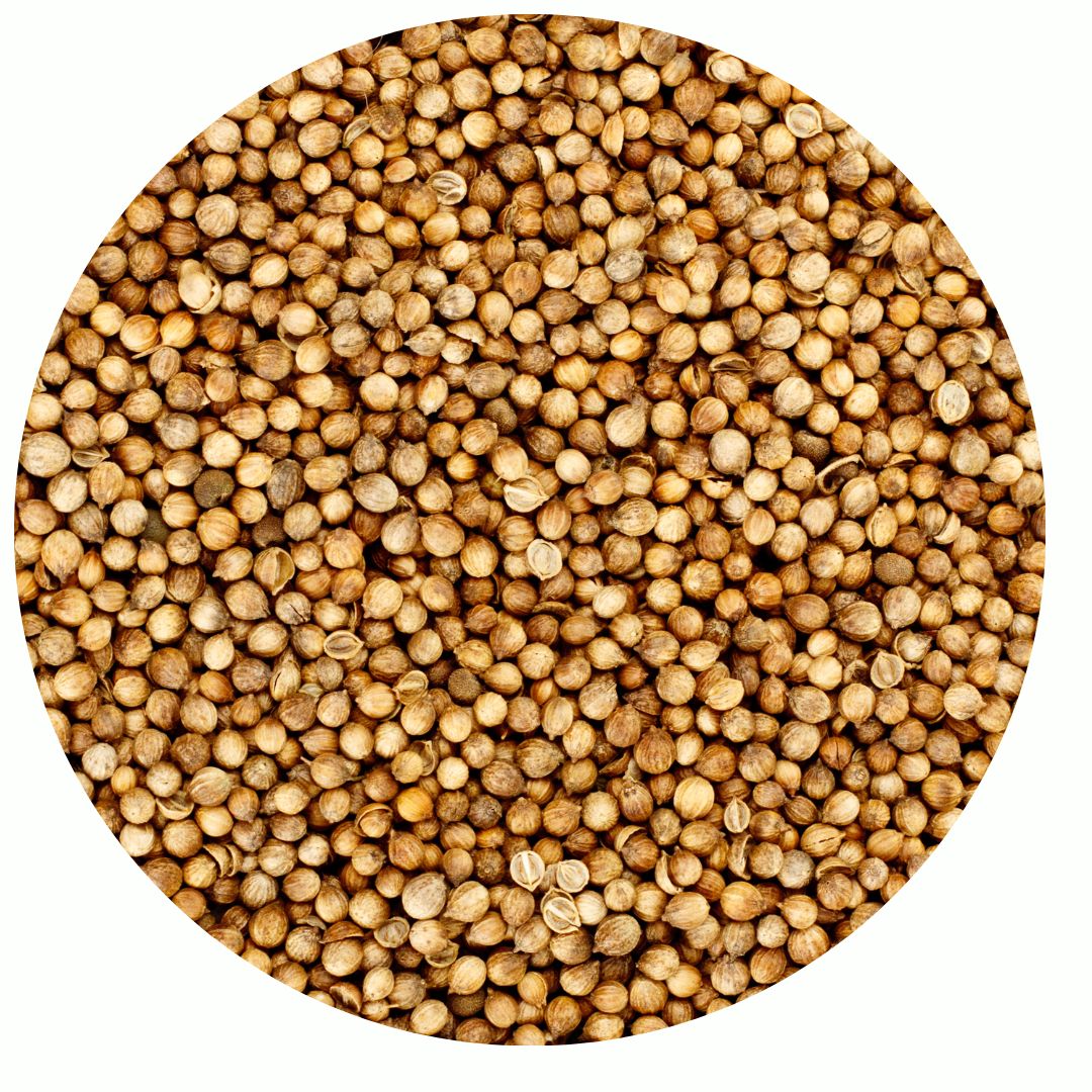 Coriander Seed, Whole , Organic