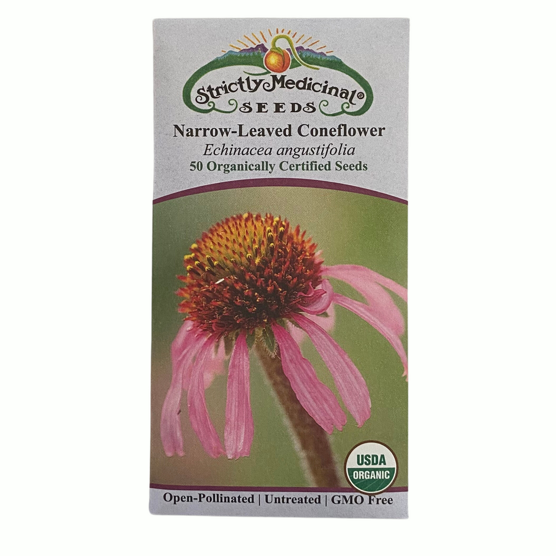 Echinacea Angustifolia | Strictly Medicinal Seeds