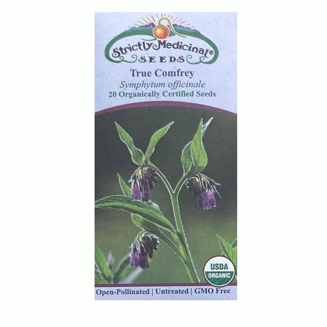 Comfrey l Strictly Medicinal Seeds