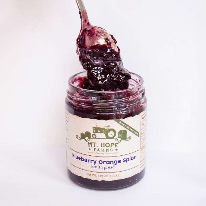 Orange Blueberry Spice Fruit Spread | Good Food Award Winner | Mt. Hope Farms - Farmhouse Teas