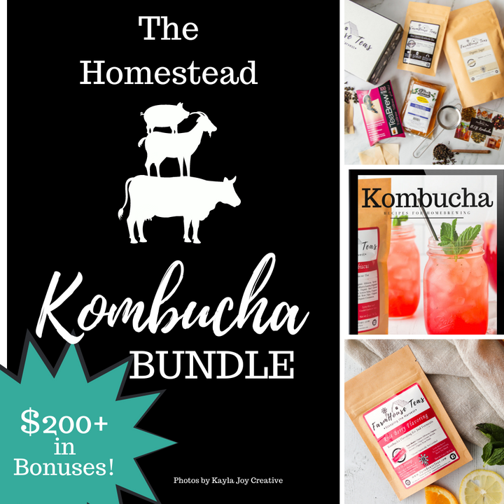 Homestead Kombucha Bundle | DIY Kombucha Making - Farmhouse Teas