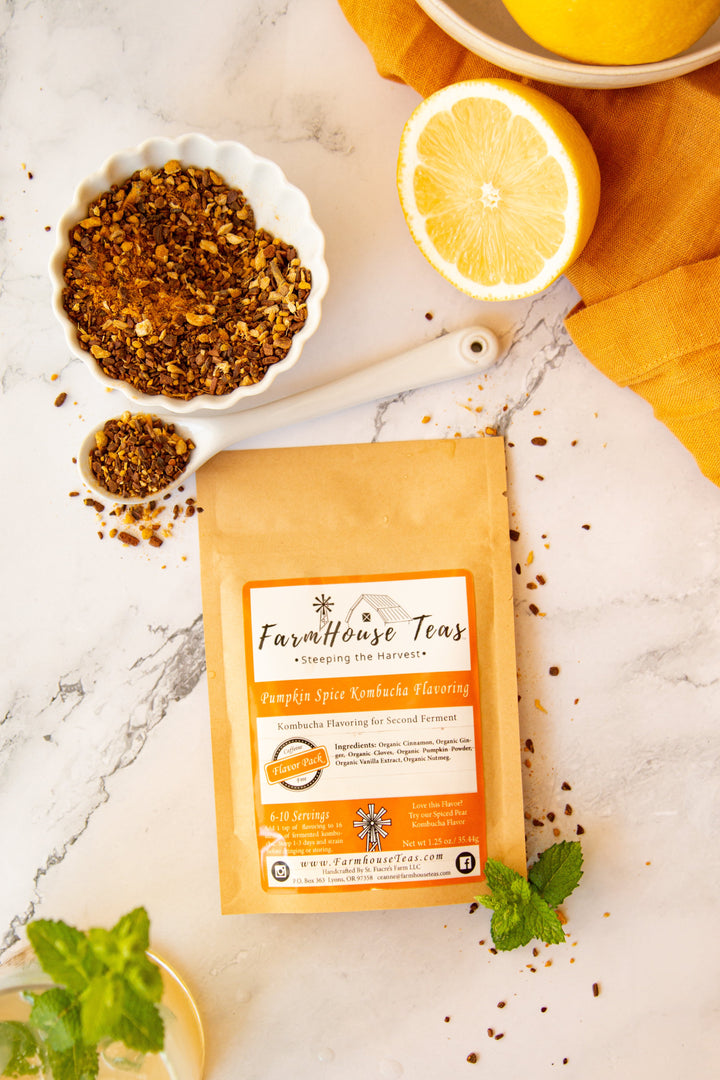 Pumpkin Spice | Kombucha Flavoring - Farmhouse Teas