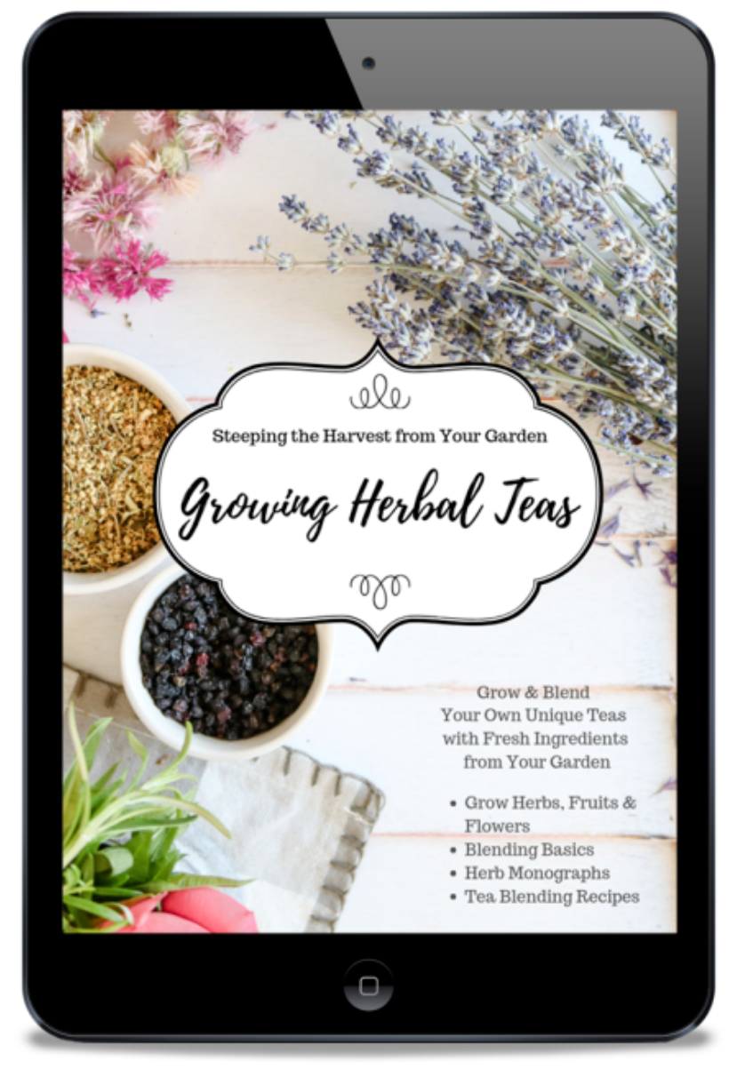 Tea Herb Garden Herbalism Kit Grow Plants for Brewing Herbal Tea From Seed  to Harvest 