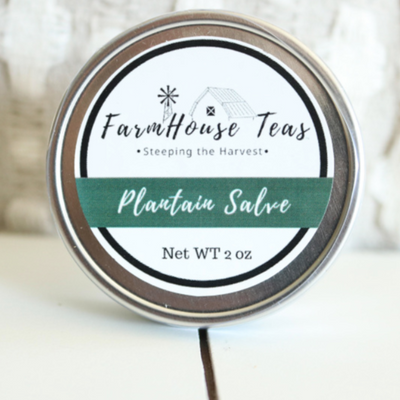 Plantain Salve - Farmhouse Teas