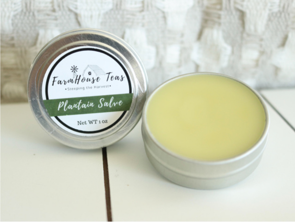 Plantain Salve - Farmhouse Teas