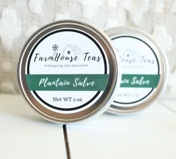 Plantain Salve - Farmhouse Teas