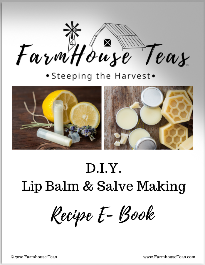 DIY Lip Balm / Salve Making Kit - Farmhouse Teas
