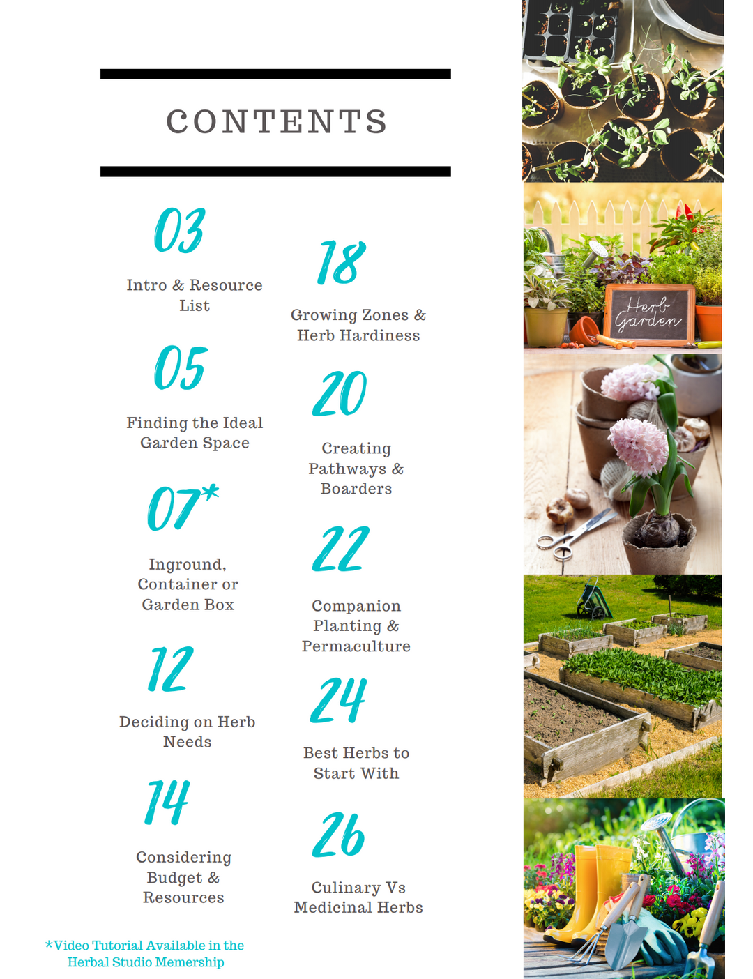 Planning & Planting the Herb Garden E-book - Farmhouse Teas