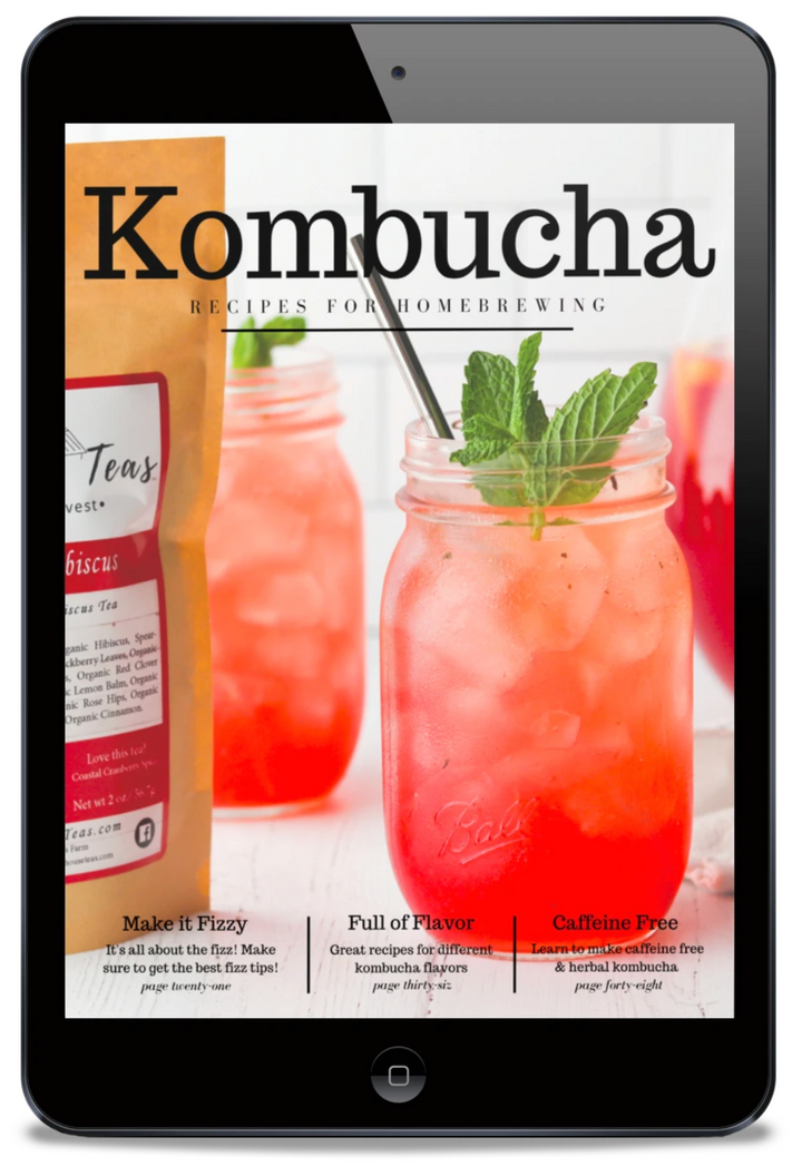Homestead Kombucha Bundle | DIY Kombucha Making - Farmhouse Teas